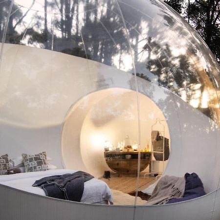 Skyview Bubbletent Eganstown Экстерьер фото